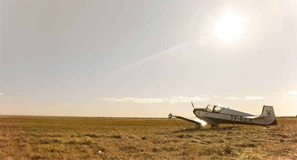 Plane in the field near the Ring Road in Iceland