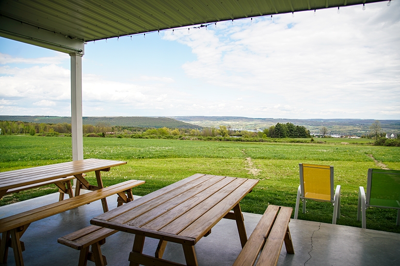 Steuben Brewery, Winery and Brewery Trail, Finger Lakes, New York