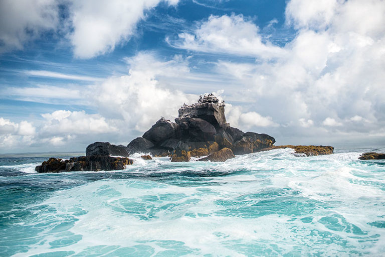the galapagos island in ecuador essay the galapagos island in ecuador essay