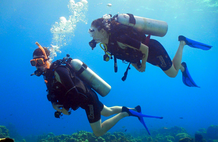 Diving in Curacao