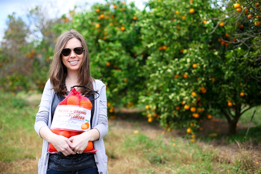 U-Pick Oranges at Showcase of Citrus in Clermont, Florida