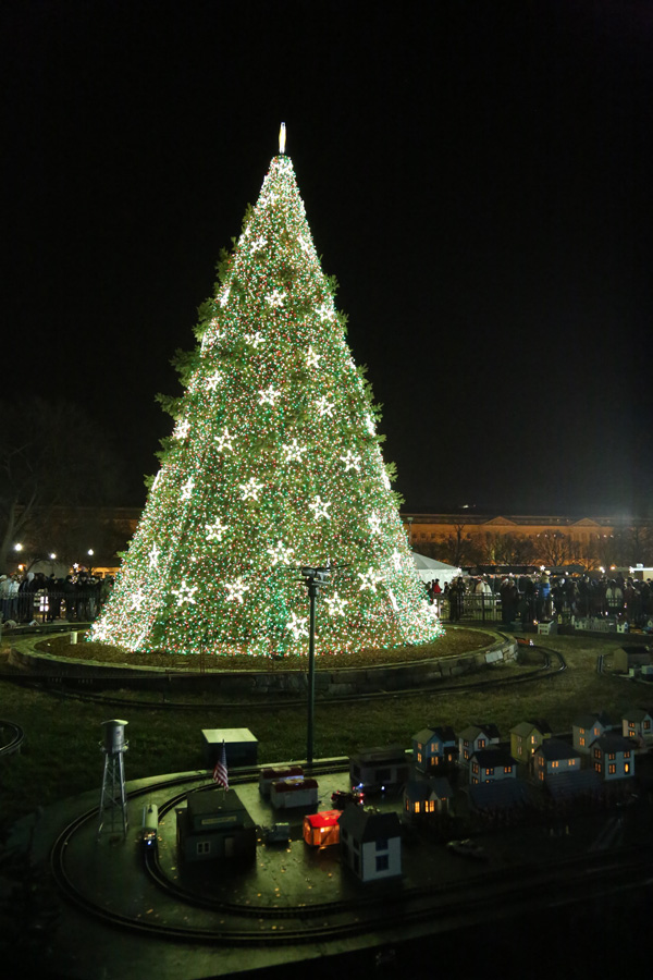 National Christmas Tree, Washington D.C.