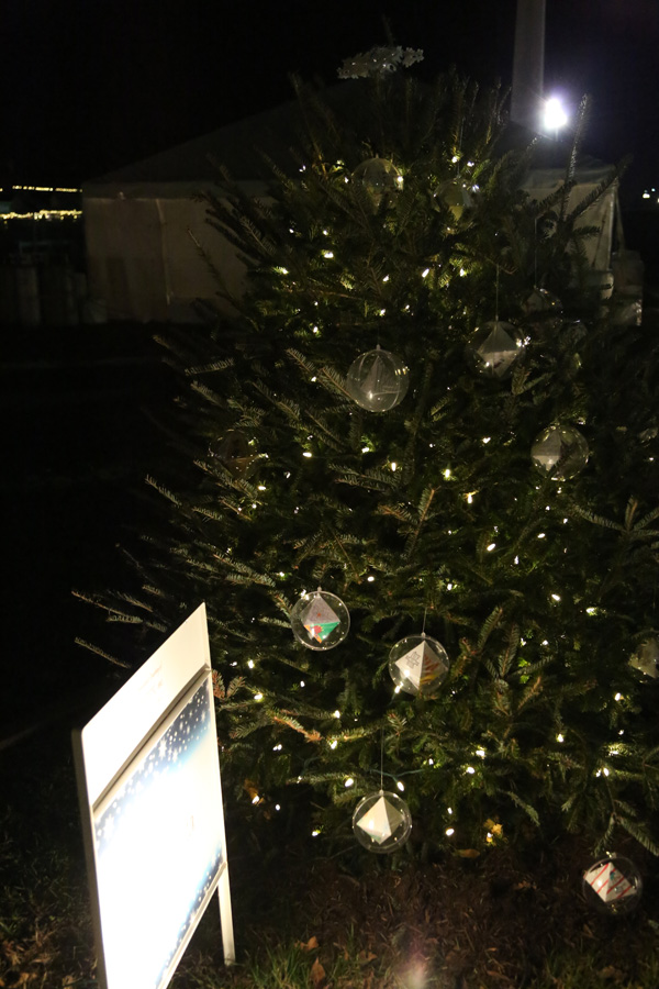 Minnesota Christmas Tree, Washington D.C.