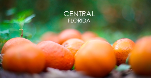 Central-Florida