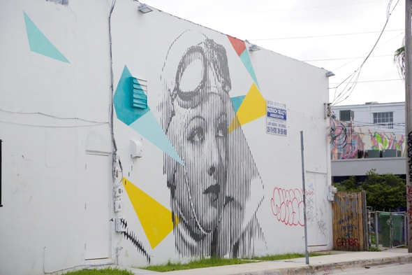 Wynwood Art Walls, Miami, FL