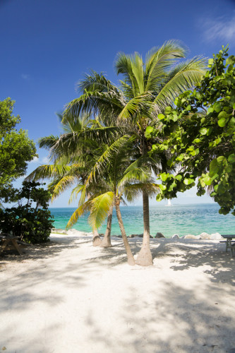 Key west essay picture