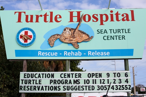 Turtle Hospital Marathon, FL