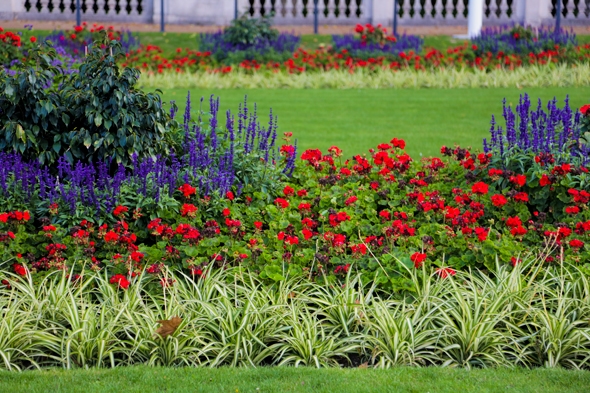 Green Park, Buckingham Palace
