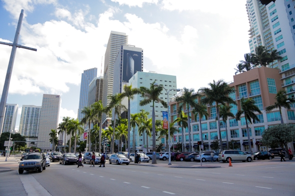 Stray Boots Tour Downtown Miami, FL