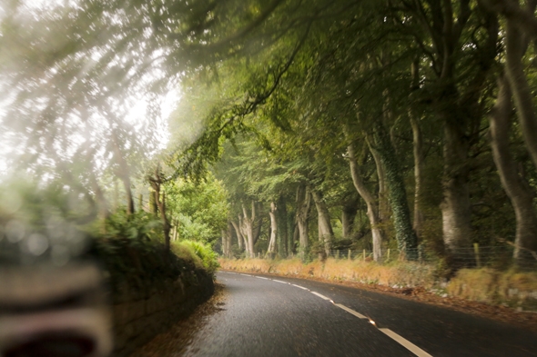 Twisting roads through tree tunnels in Northern Ireland