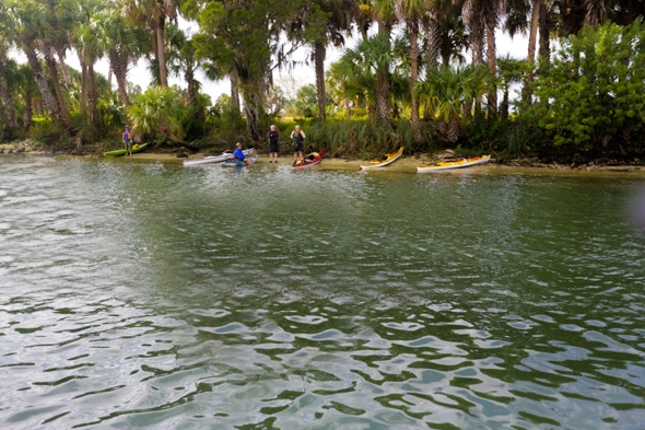 Swimming with the Manatees in Cyrstal River, FL 