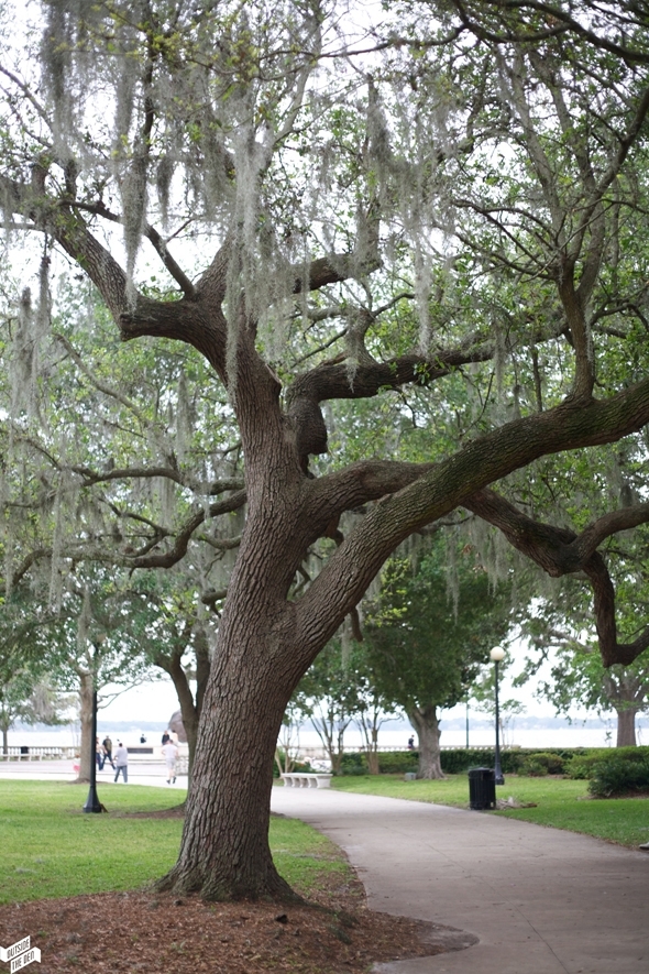 Memorial-Park, Jacksonville, FL