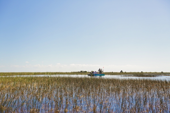Airboat Tours in the Florida Everglades