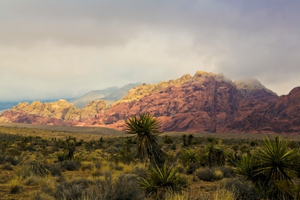 Red Rock Canyon National Conservation Area, Las Vegas, NV