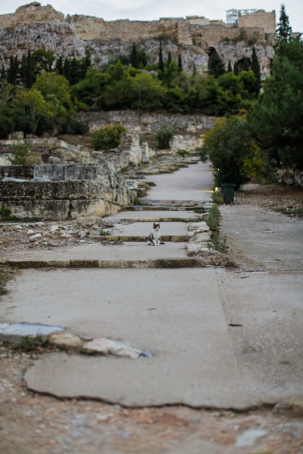 Ruins in Athens, Greece by Wander The Map