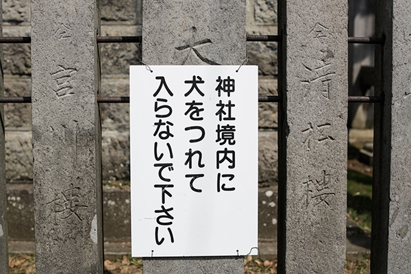 Lost in Translation, Engrish in Japan