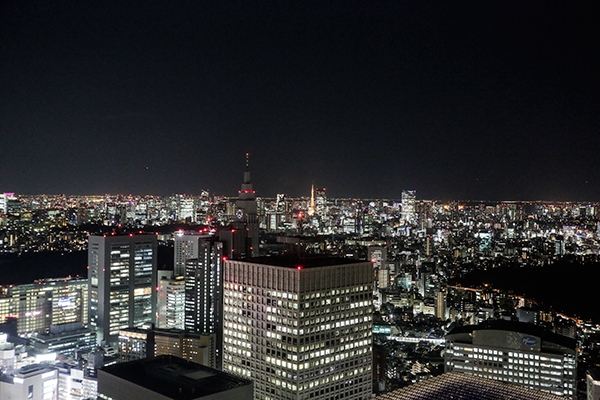 Tokyo Metropolitan Government Building, Tokyo Observation Towers, Tokyo, Japan