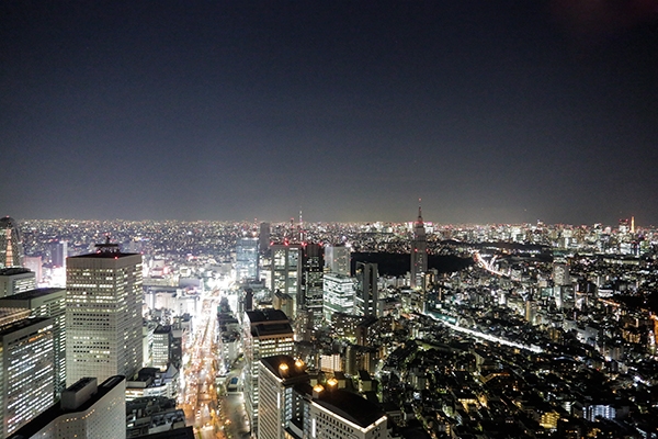 New York Bar, Park Hyatt Tokyo, Tokyo Observation Towers, Tokyo, Japan