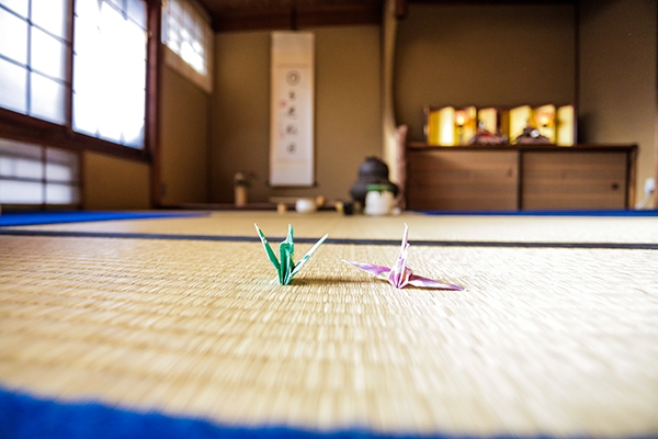 Tea Ceremony, Kyoto, Japan