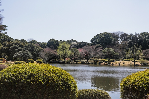 Shrines and Gardens in Tokyo, Japan