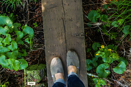 Day Trip to Isle Royale National Park - Wander The Map