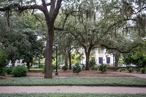 Scad decision day picture