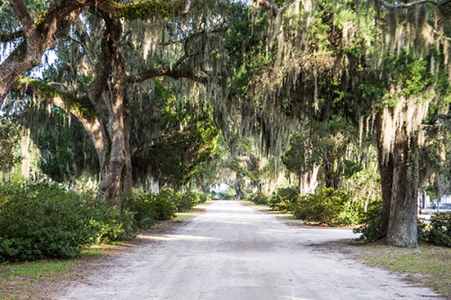 A Photo Essay: Savannah, Georgia - Wander The Map