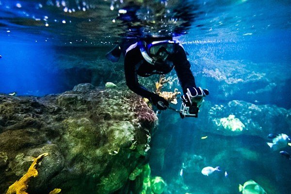 Snorkeling at the Mall of America in Bloomington, MN