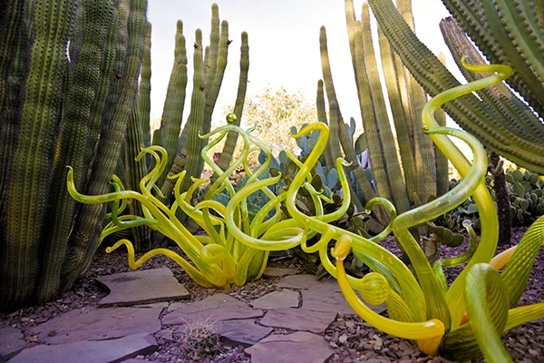 Desert Botanical Gardens Chihuly Exhibit, Phoenix, Arizona