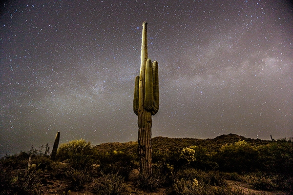 Arizona Photo Essay