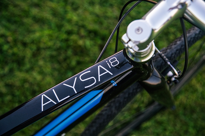 Raleigh Bicycle Review, Alysa i8, Wander The Map