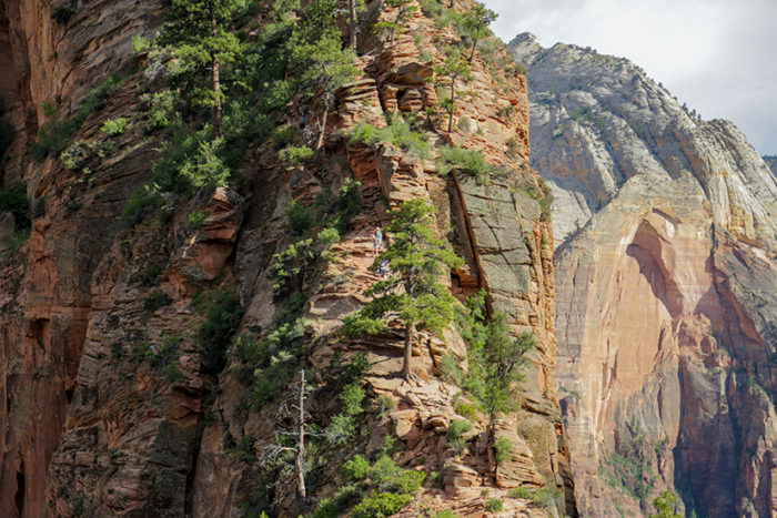 Hiking Angels Landing In Zion National Park - Wander The Map