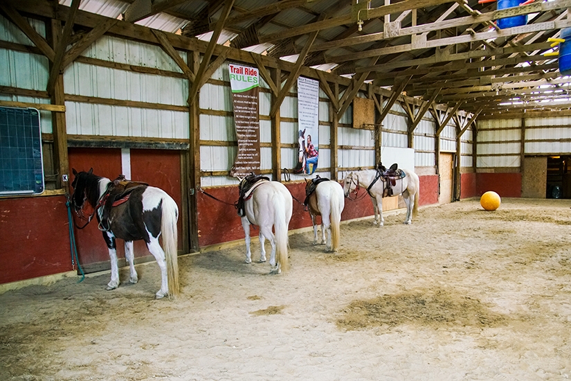 Horseback Riding in the Finger Lakes, New York, Painted Bar Stables