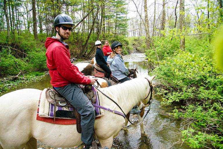 Horseback Riding in the Finger Lakes Wander The Map