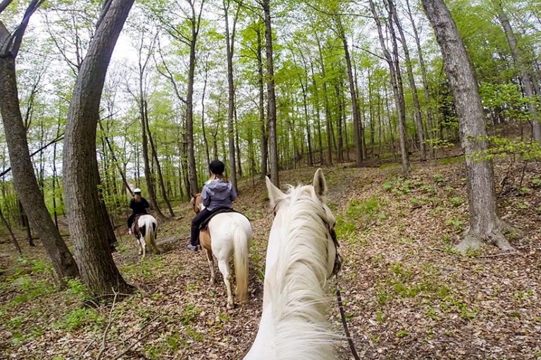 Horseback Riding in the Finger Lakes Wander The Map