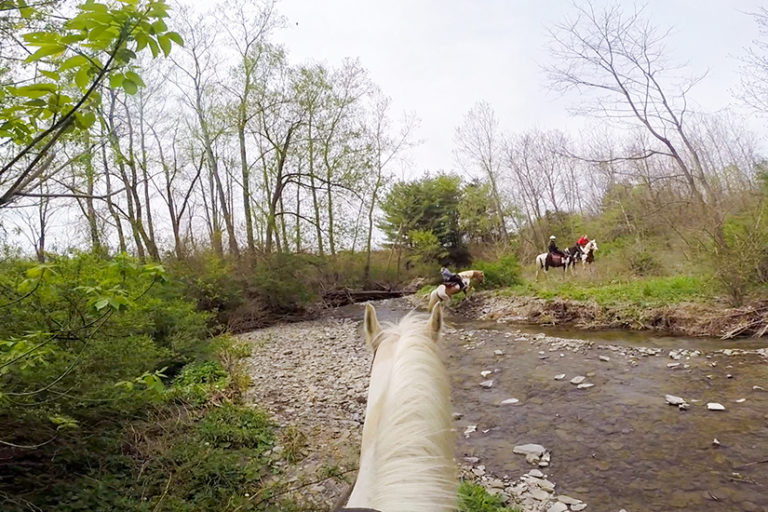 Horseback Riding in the Finger Lakes Wander The Map