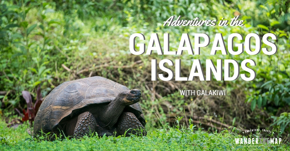 Adventure in the Galapagos Islands with Galakiwi - Wander The Map