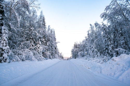 A Photo Essay: Winter in Fairbanks, Alaska - Wander The Map