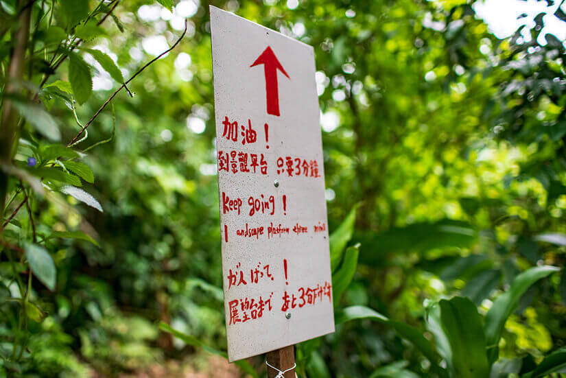 Hiking Elephant Mountain, Taipei, Taiwan