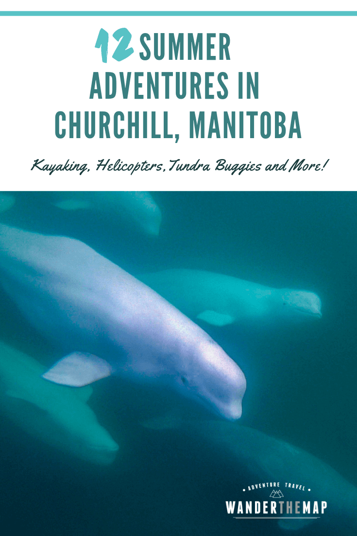 Summer Adventures in Churchill, Manitoba