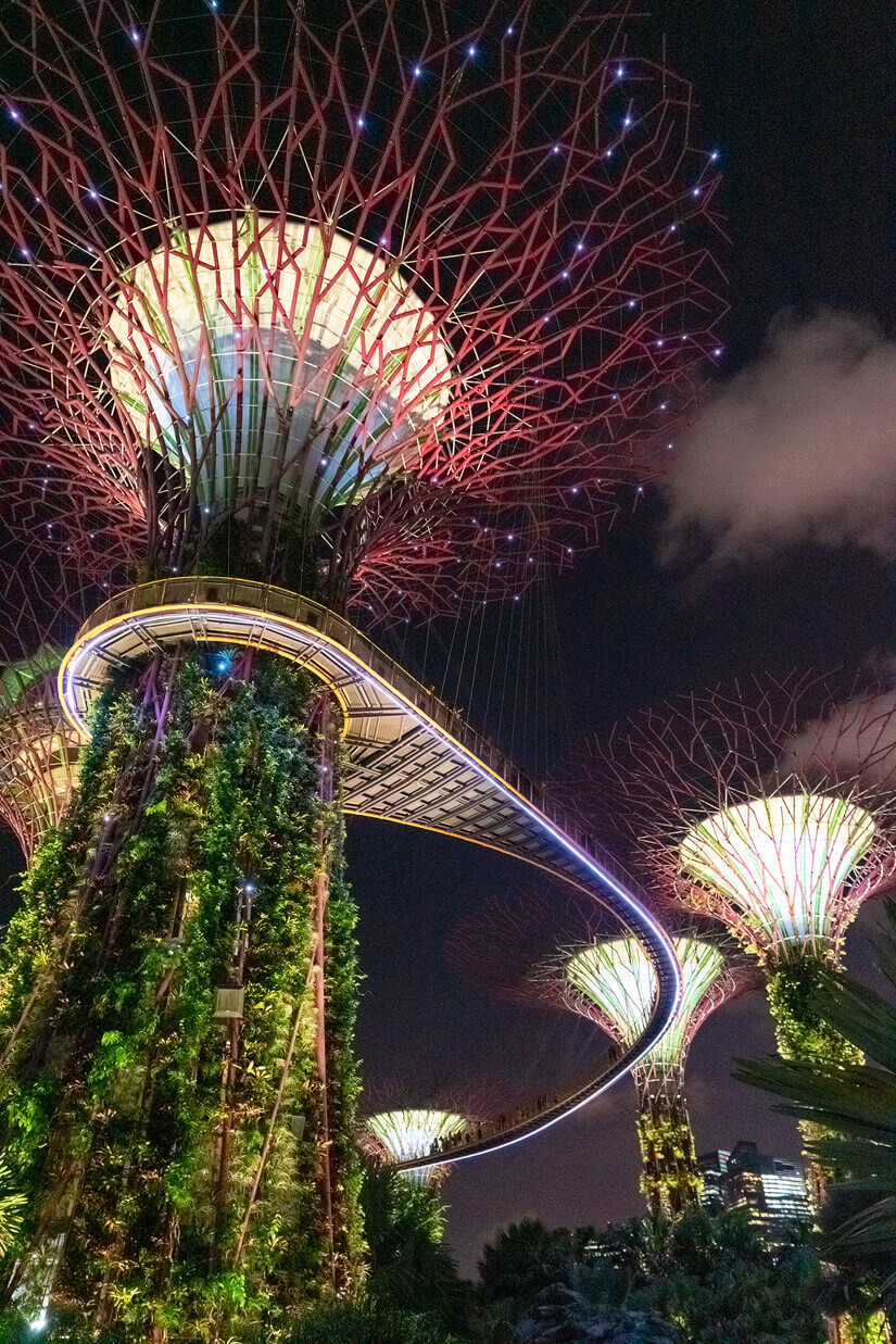 Gardens by the Bay, Adventures in Singapore