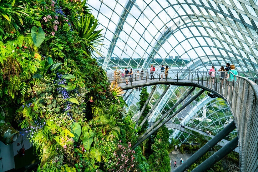 Cloud Forest, Adventures in Singapore