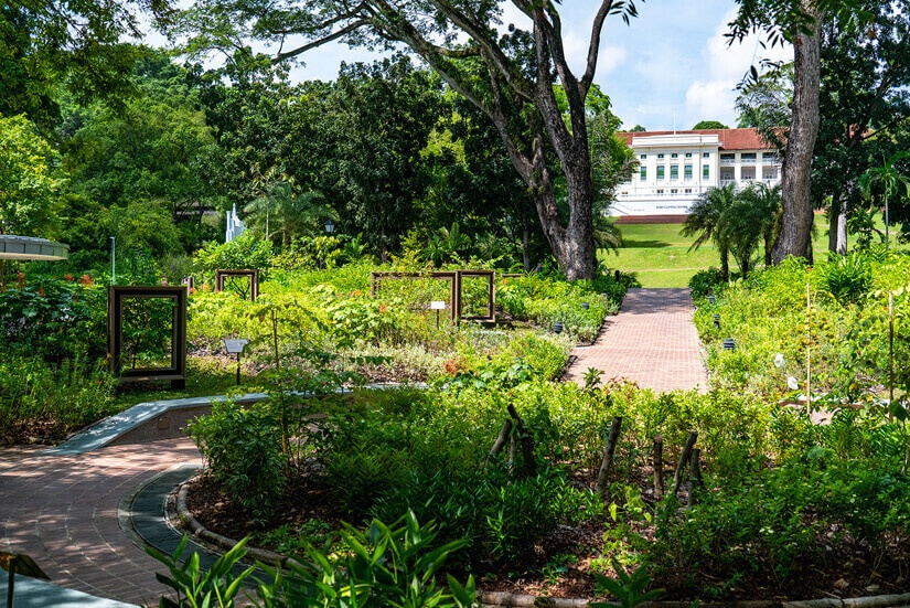 Fort Canning Park, Adventures in Singapore