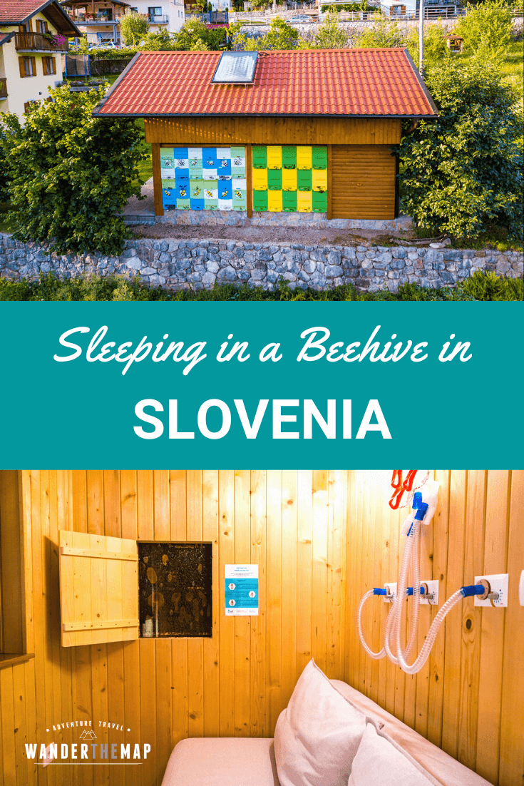 Apitherapy: The Time We Slept in a Beehive in Slovenia