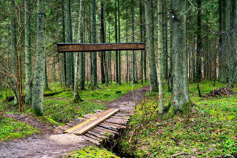 Hiking Adventures in Latvia at Gauja National Park