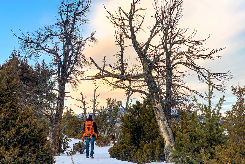 Winter Adventures in Yellowstone National Park