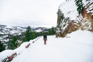 Winter Adventures in Yellowstone National Park