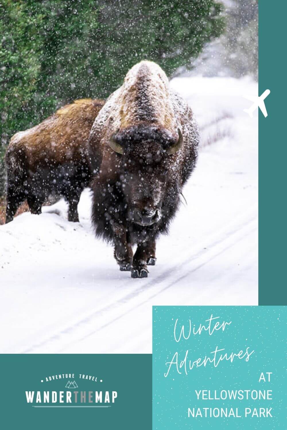 DIY Winter Adventures in Yellowstone National Park