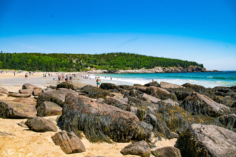 Beach Adventures in Acadia National Park, Maine