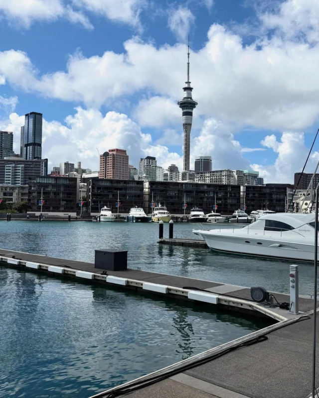 New Zealand: Jan ‘25

Lazy, jet lagged days in Auckland ✈️